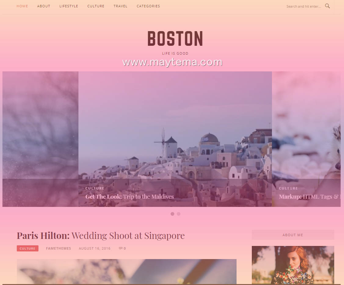 WordPress Kişisel Blog Teması – Boston