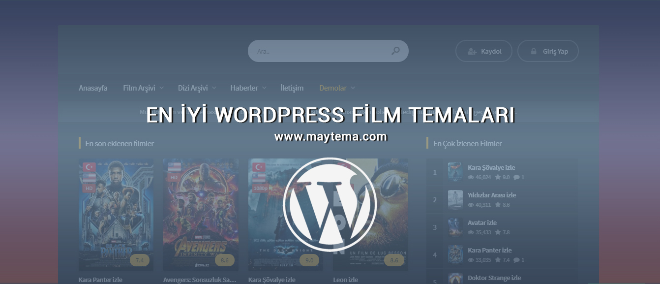 En İyi WordPress Film Temaları