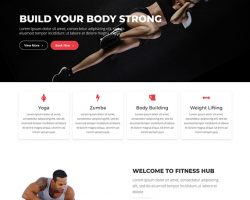 Fitness Hub WordPress Teması